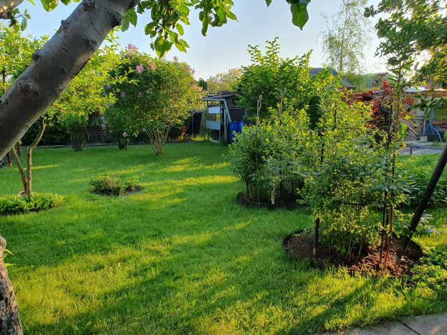 Działka rod Braniewo. Zdjęcie 1