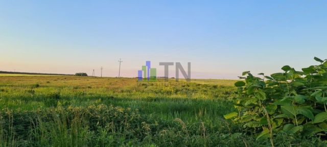 Działka inwestycyjna Ratowice. Zdjęcie 1