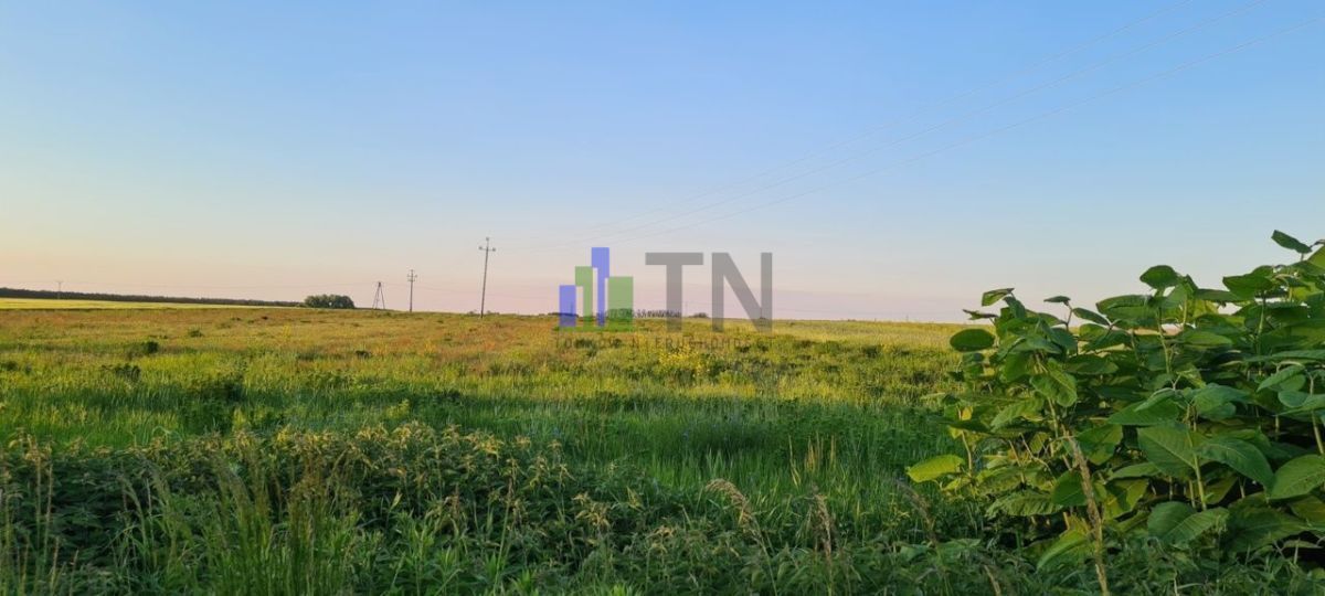 Działka inwestycyjna Ratowice. Zdjęcie 1