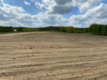 Działka siedliskowa Czarne. Zdjęcie 4