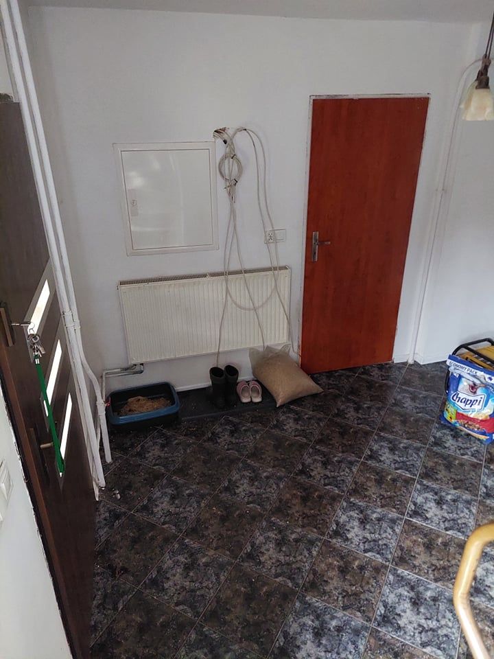 gospodarstwo, 7 pokoi Gaworzyce, ul. Główna. Zdjęcie 12