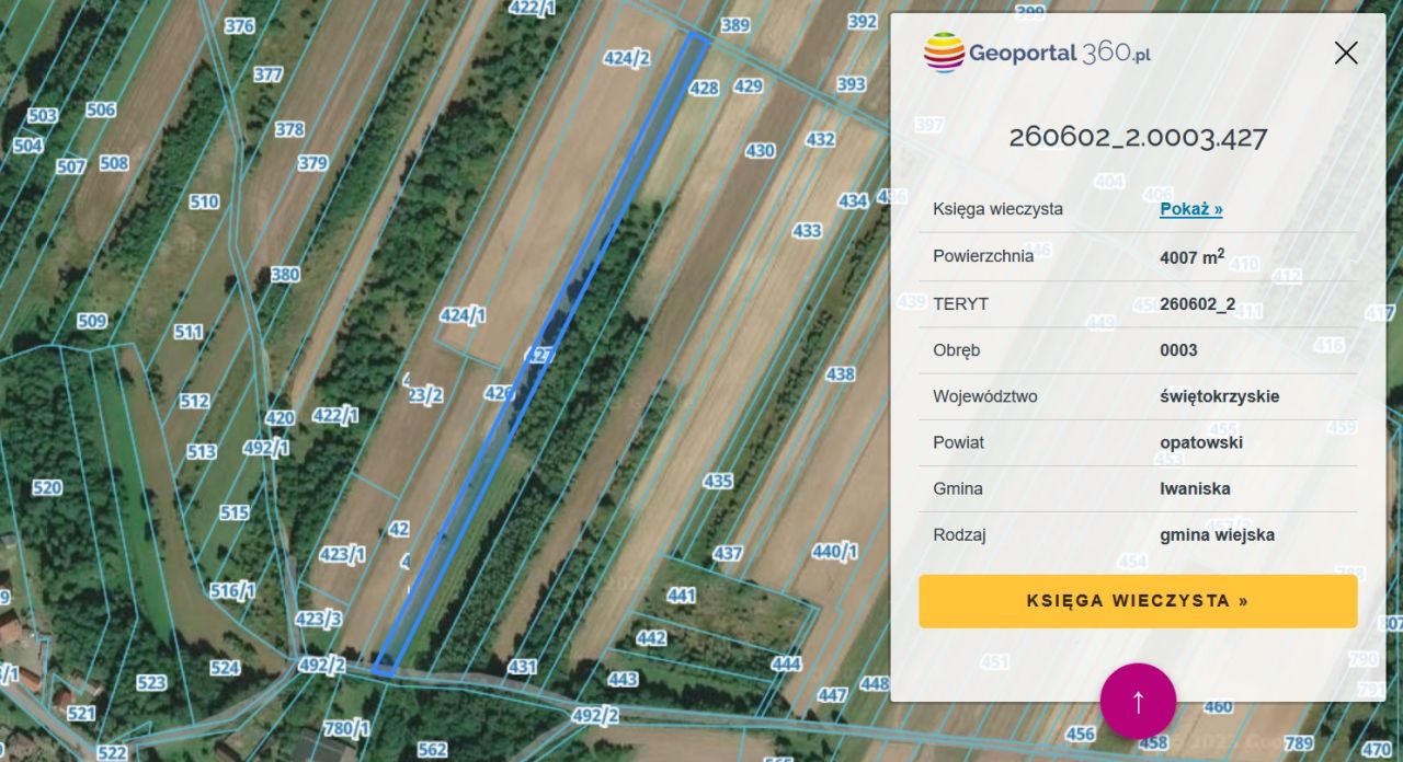 Działka rolna Dziewiątle. Zdjęcie 2