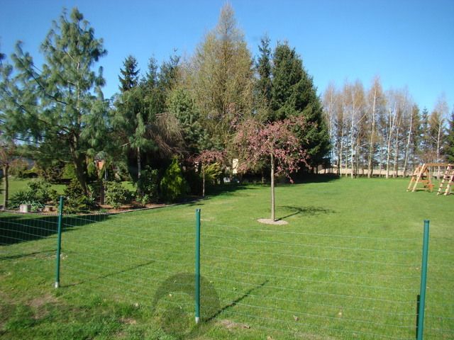 Lokal Kołbaskowo. Zdjęcie 38