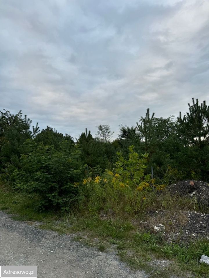 Działka budowlana Kędzierzyn-Koźle, ul. Dobrawy. Zdjęcie 2