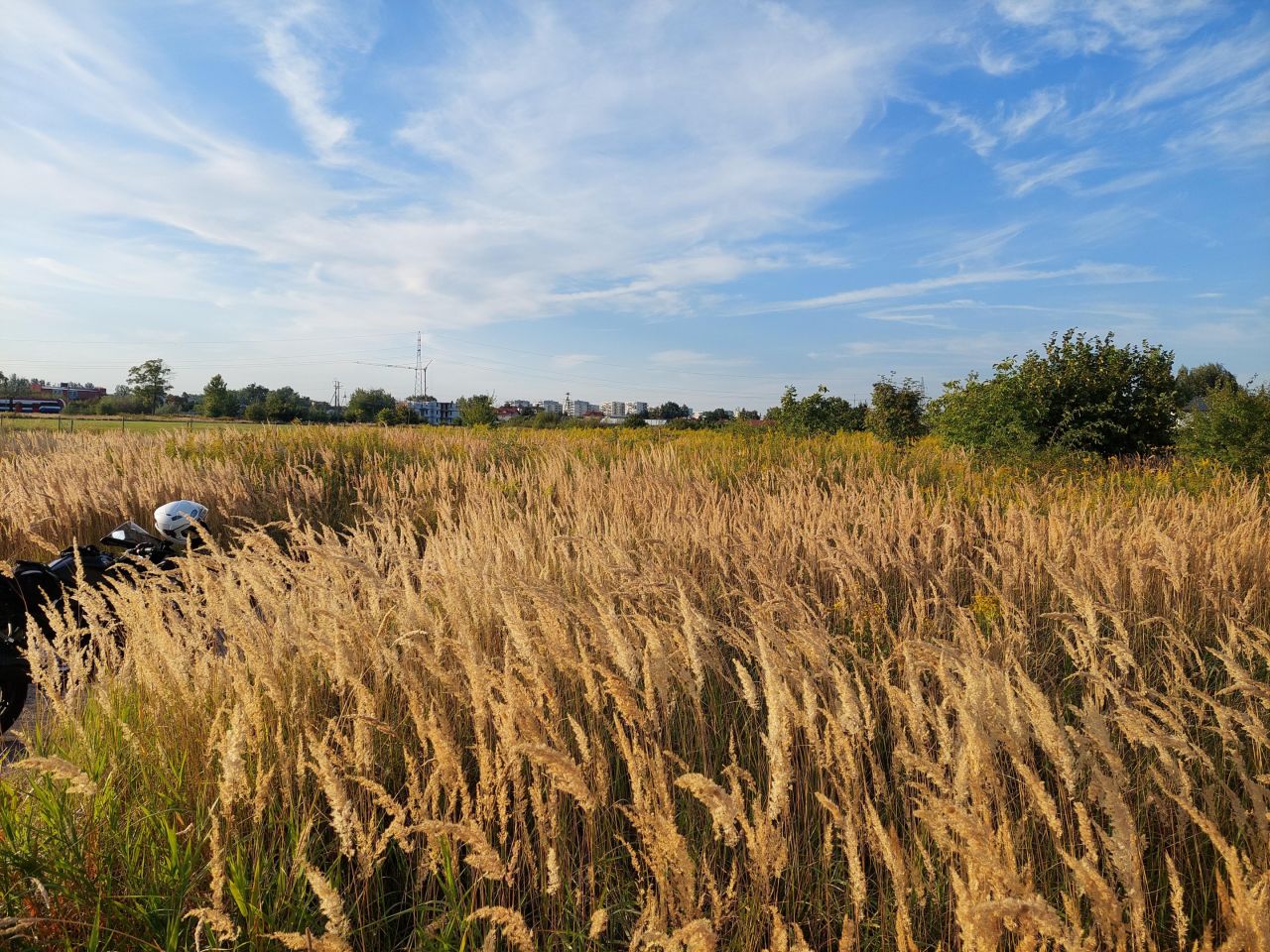 Działka rolna Opacz-Kolonia, ul. Zofii. Zdjęcie 3