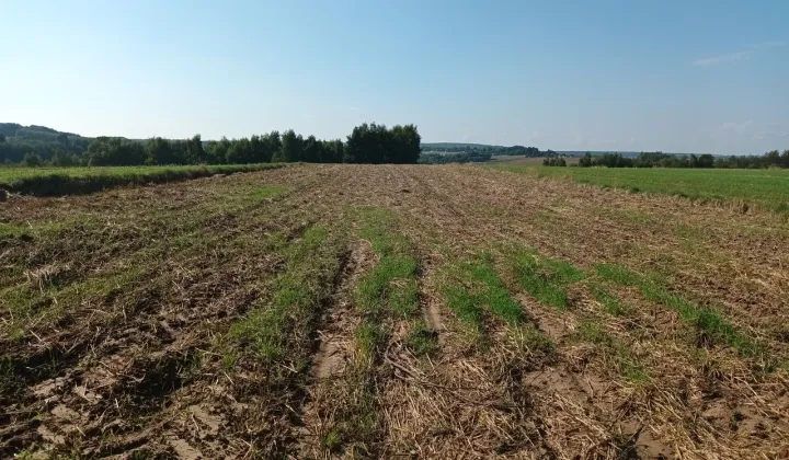 Działka rolno-budowlana Przybysławice