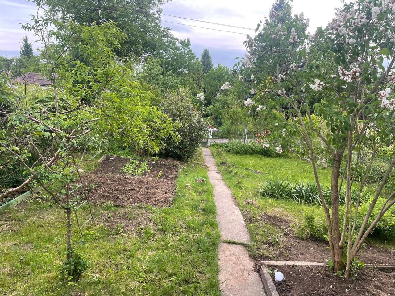 Działka rod Kraków Wzgórza Krzesławickie, os. Na Stoku. Zdjęcie 3