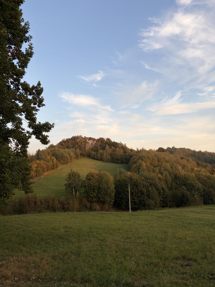 Działka budowlana Jerzmanowice Kolonia Zachodnia, ul. Zachodnia. Zdjęcie 5