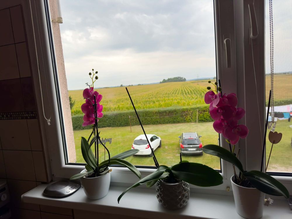 Mieszkanie 3-pokojowe Skarpa. Zdjęcie 7