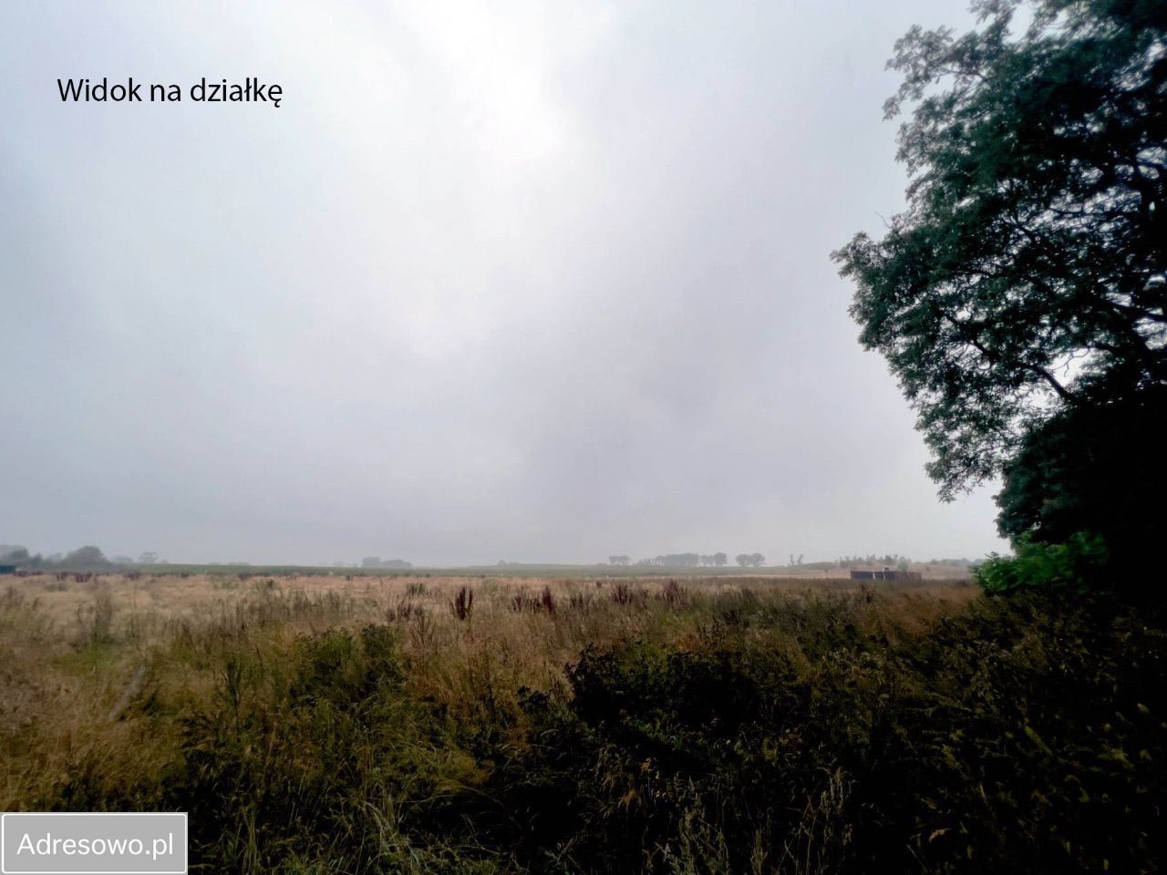 Działka budowlana Buniewice. Zdjęcie 6