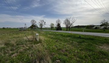 Działka budowlana Susz