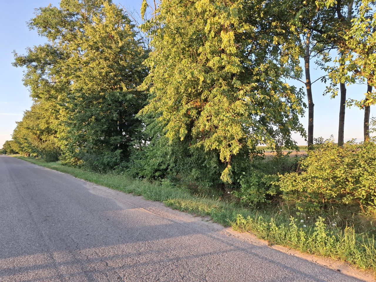 Działka rolno-budowlana Pęchratka Polska. Zdjęcie 8