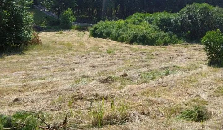 Działka budowlana Wiewiórki