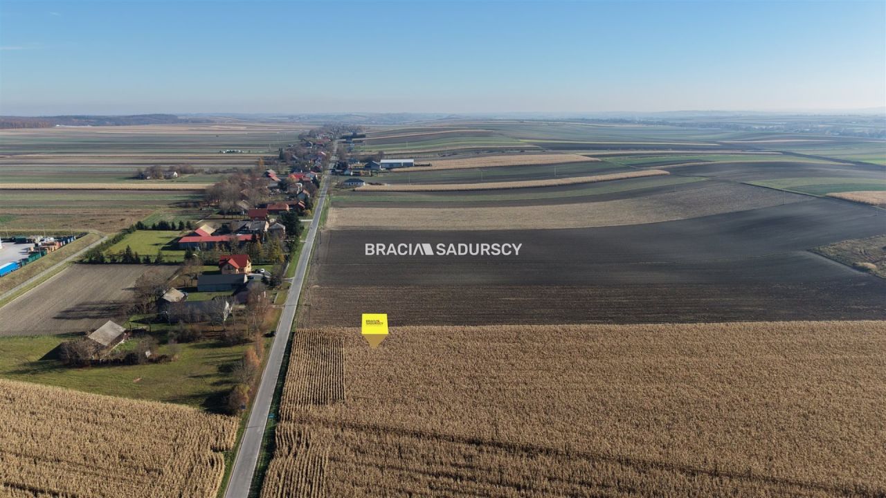 Działka budowlana Prandocin-Iły. Zdjęcie 13