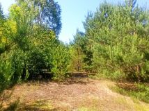 Działka budowlana Obrowo, ul. Lisia. Zdjęcie 3