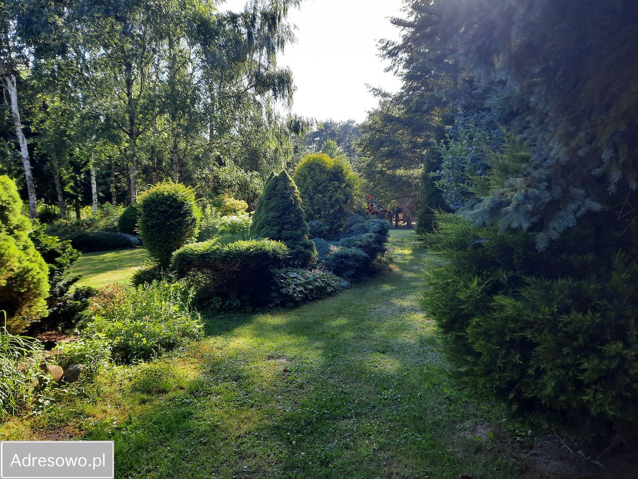 Działka budowlana Bydgoszcz Smukała Dolna. Zdjęcie 10