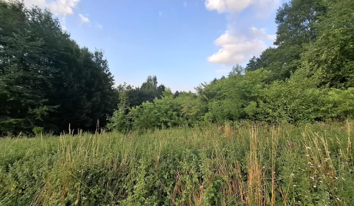 Działka rolno-budowlana Chmielnik, brak
