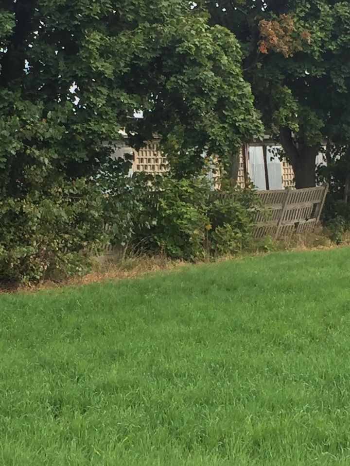 Działka inwestycyjna Klukowo, ul. Mazowiecka. Zdjęcie 9