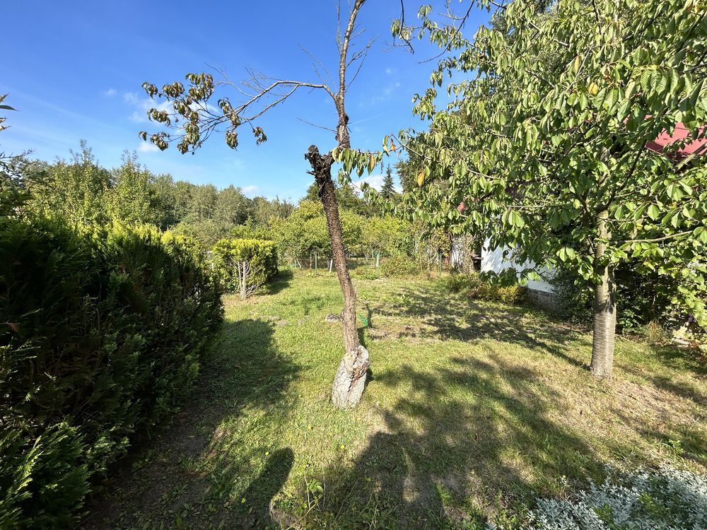 Działka rod Szczecin Krzekowo, ul. Modra. Zdjęcie 8