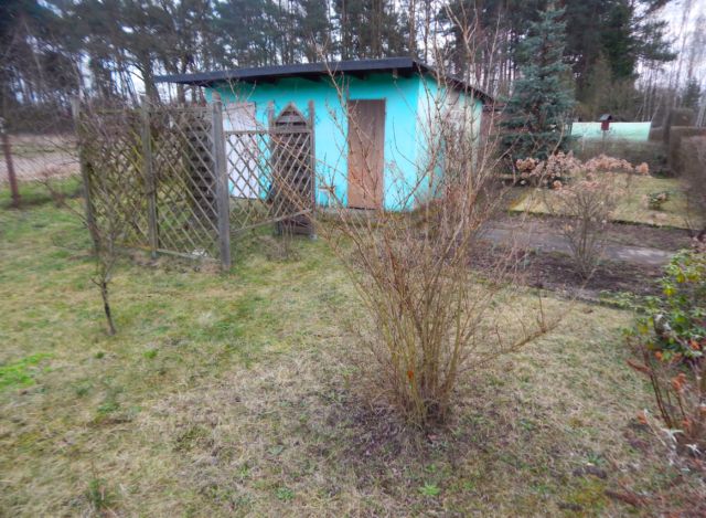 Działka rekreacyjna Nowa Sól. Zdjęcie 1