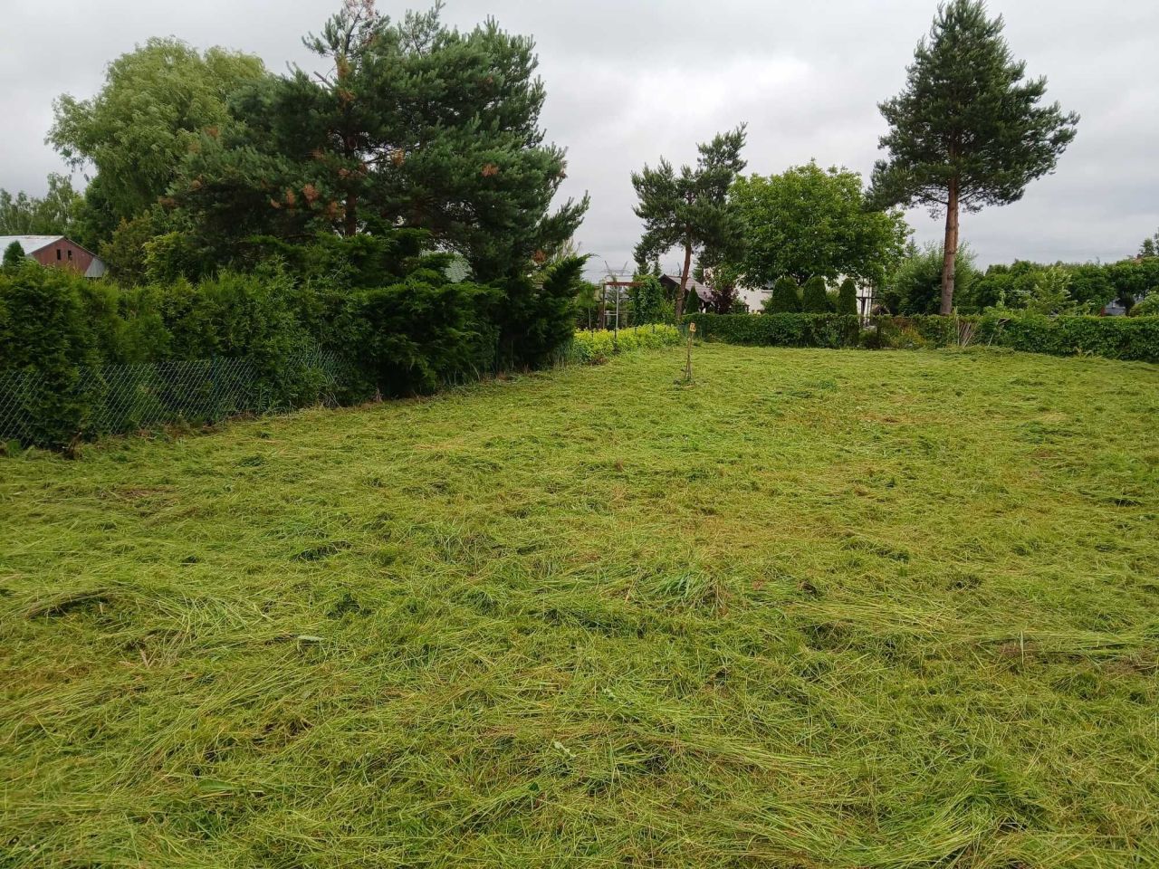 Działka rod Wrzosowa. Zdjęcie 6