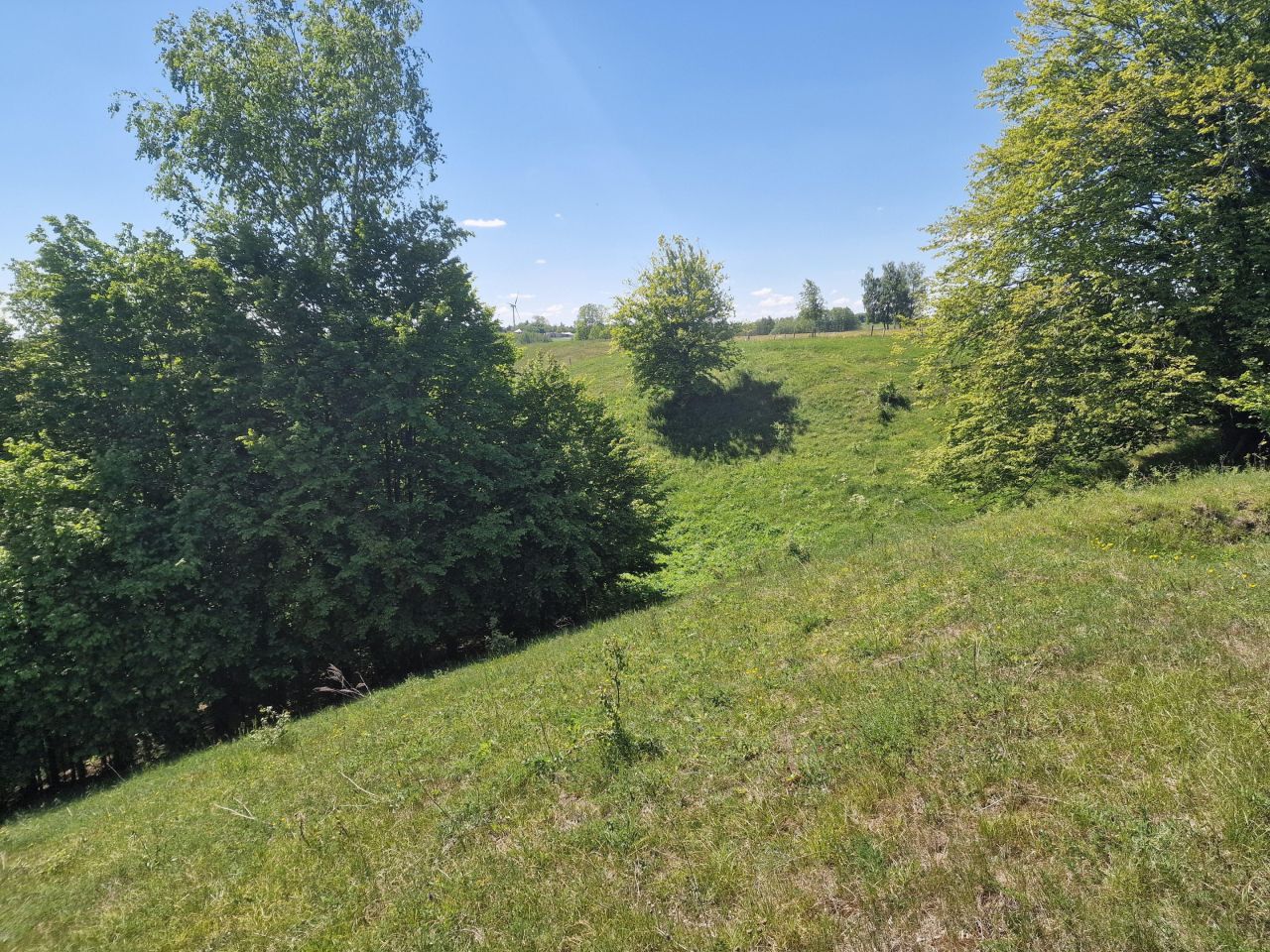 Działka inwestycyjna Malesowizna. Zdjęcie 8