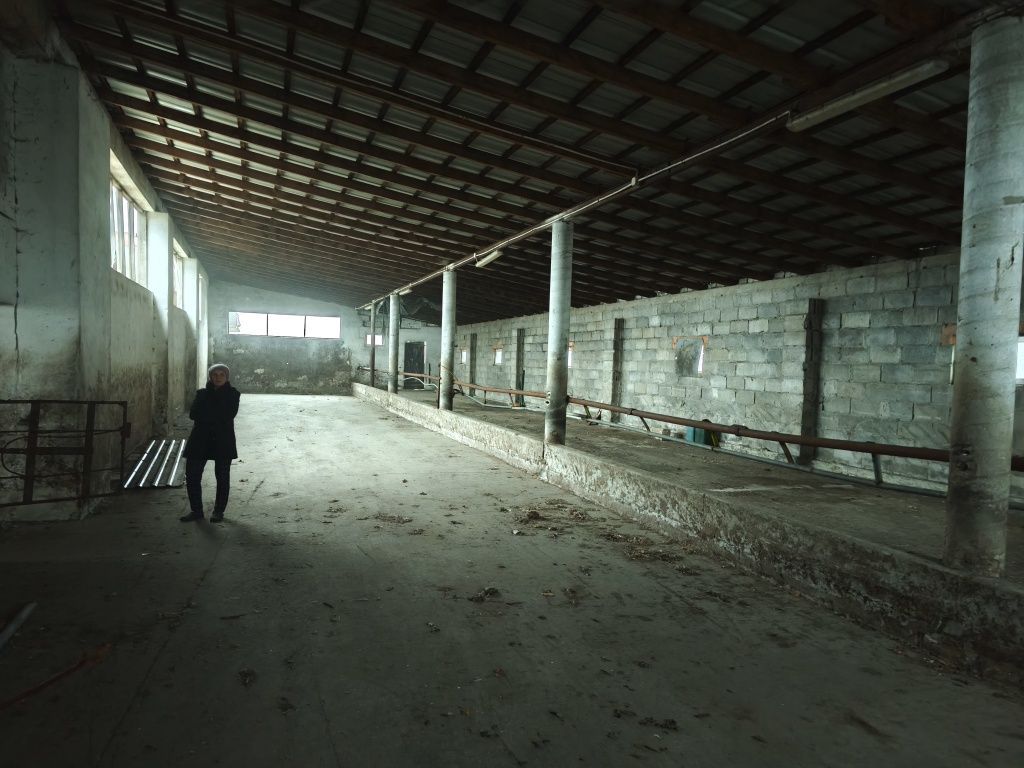 gospodarstwo Lipie. Zdjęcie 3