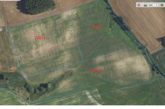 Działka rolna Zawidy. Zdjęcie 1