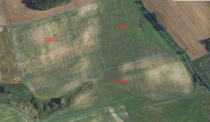 Działka rolna Zawidy