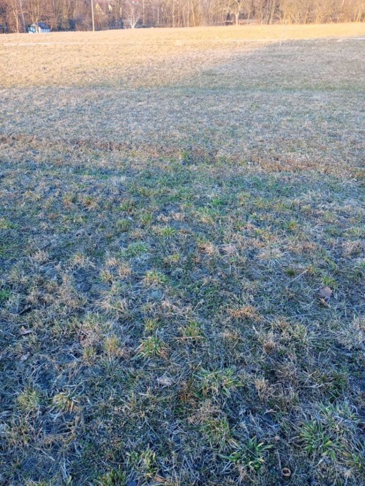 Działka budowlana Sowliny. Zdjęcie 4