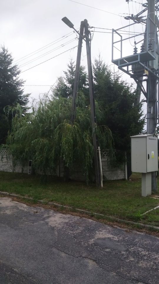 Działka budowlana Krzywin, Drzewiarzy. Zdjęcie 8