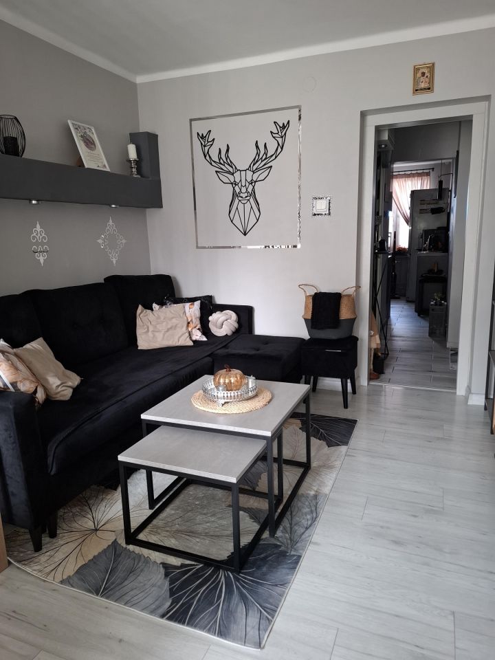 Mieszkanie 3-pokojowe Rybnik Boguszowice, ul. Patriotów. Zdjęcie 2