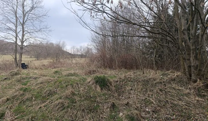 Działka budowlana Niedamirów