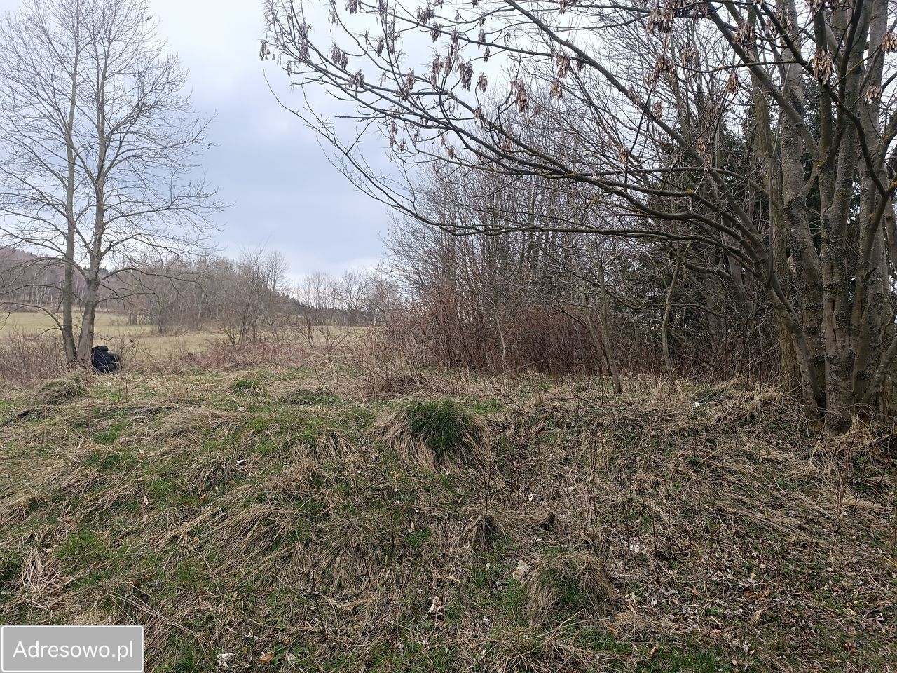 Działka budowlana Niedamirów. Zdjęcie 1