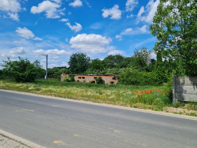 Działka siedliskowa Wilkowa. Zdjęcie 1