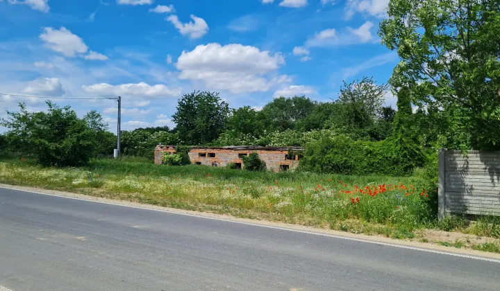 Działka siedliskowa Wilkowa