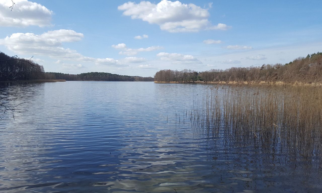 Działka rolna Silna. Zdjęcie 7