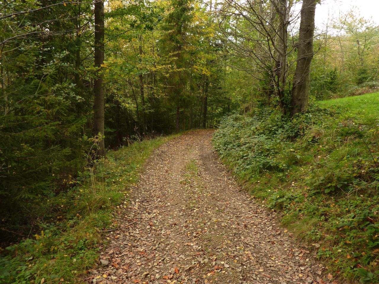 Działka rolna Pewel Wielka Garleje. Zdjęcie 22