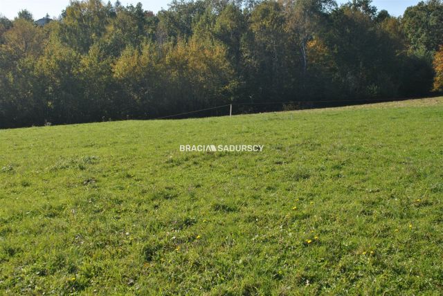 Działka rolno-budowlana Dziekanowice. Zdjęcie 11