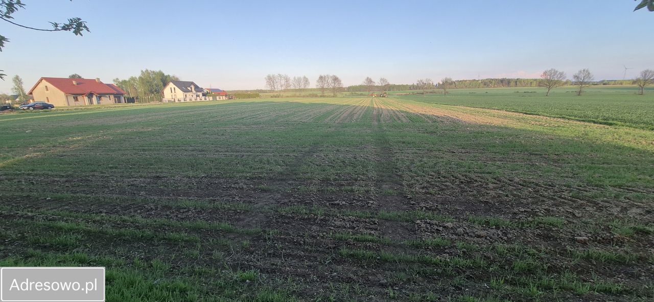 Działka rolno-budowlana Wielichowo. Zdjęcie 6