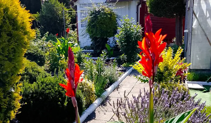 Działka rod Białystok, ul. Adama Mickiewicza