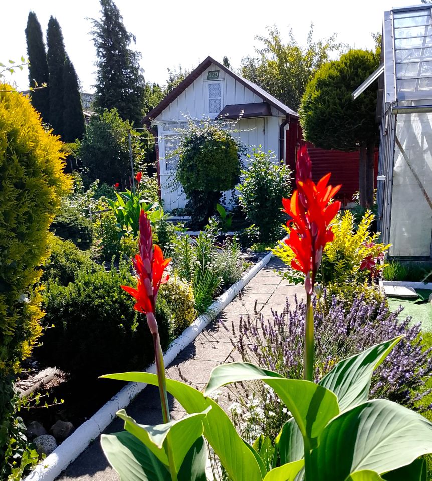 Działka rod Białystok, ul. Adama Mickiewicza