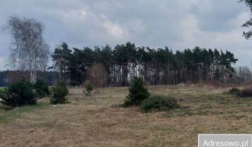 Działka rolna Wierzbiczany