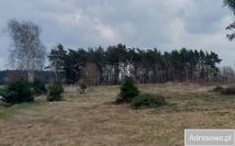 Działka rolna Wierzbiczany