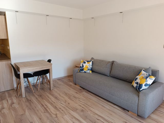 Mieszkanie 1-pokojowe Mazańcowice Pustki. Zdjęcie 1