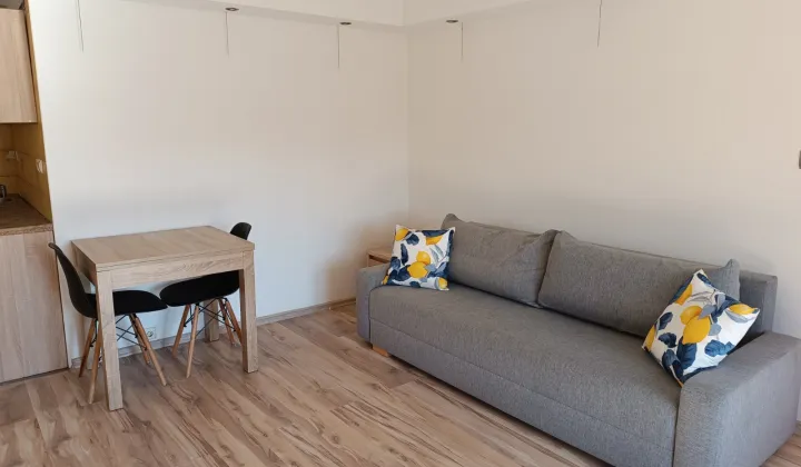 Mieszkanie 1-pokojowe Mazańcowice Pustki