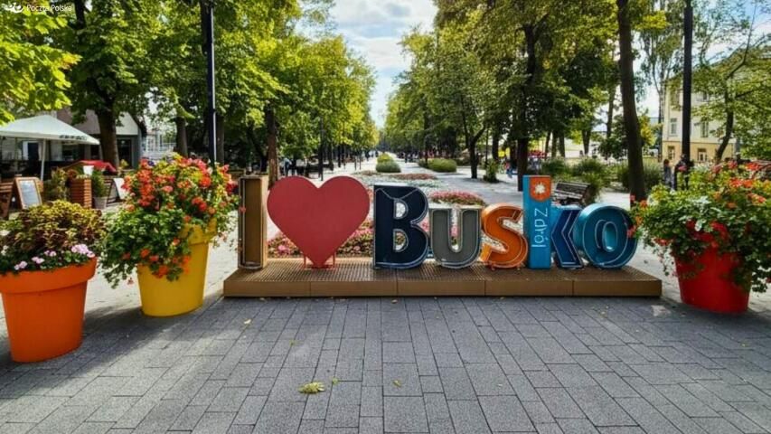 Lokal Busko-Zdrój, ul. Adama Mickiewicza. Zdjęcie 5