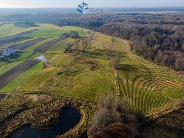 Działka budowlana Jędrychówko. Zdjęcie 10