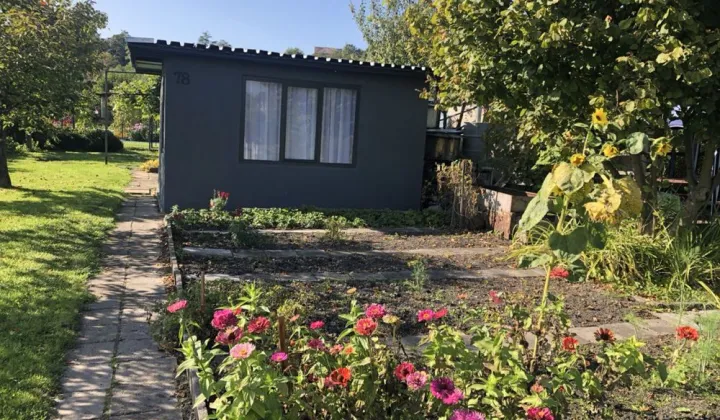 Działka rod Piła, ul. Szymanowskiego