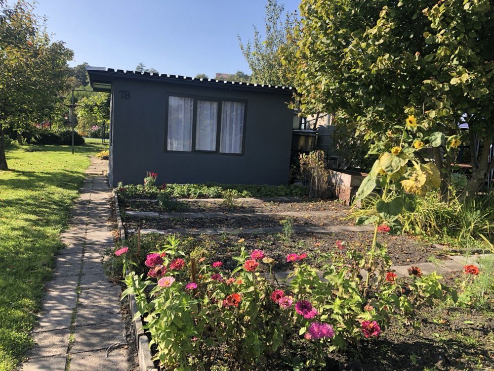 Działka rod Piła, ul. Szymanowskiego